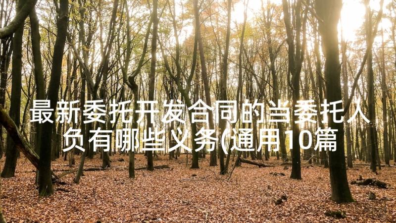 最新委托开发合同的当委托人负有哪些义务(通用10篇)