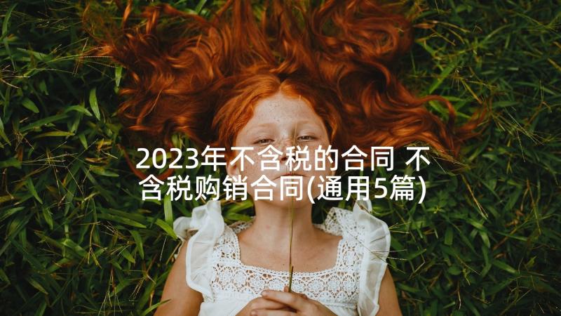 2023年不含税的合同 不含税购销合同(通用5篇)