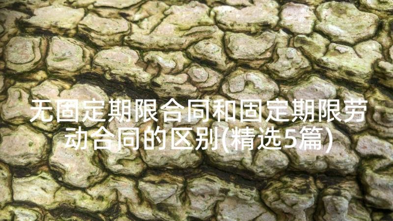 无固定期限合同和固定期限劳动合同的区别(精选5篇)