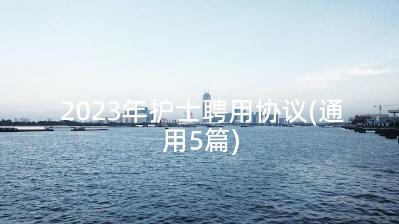 2023年护士聘用协议(通用5篇)