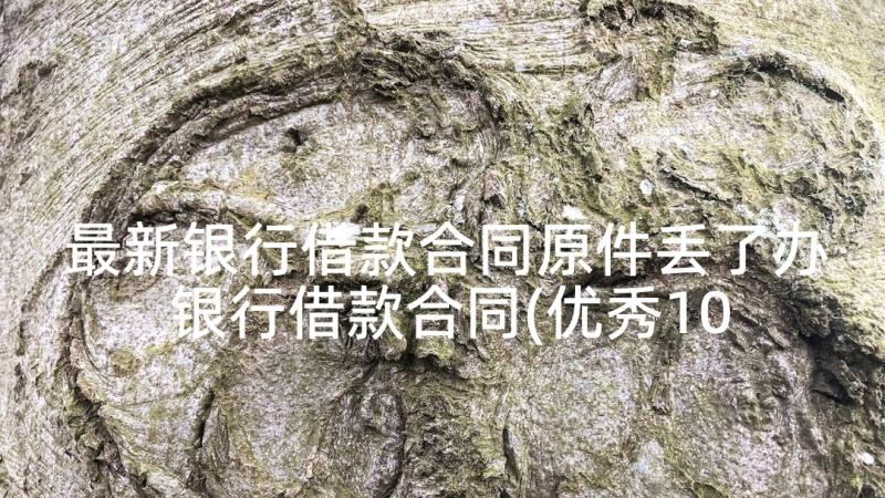 最新银行借款合同原件丢了办 银行借款合同(优秀10篇)