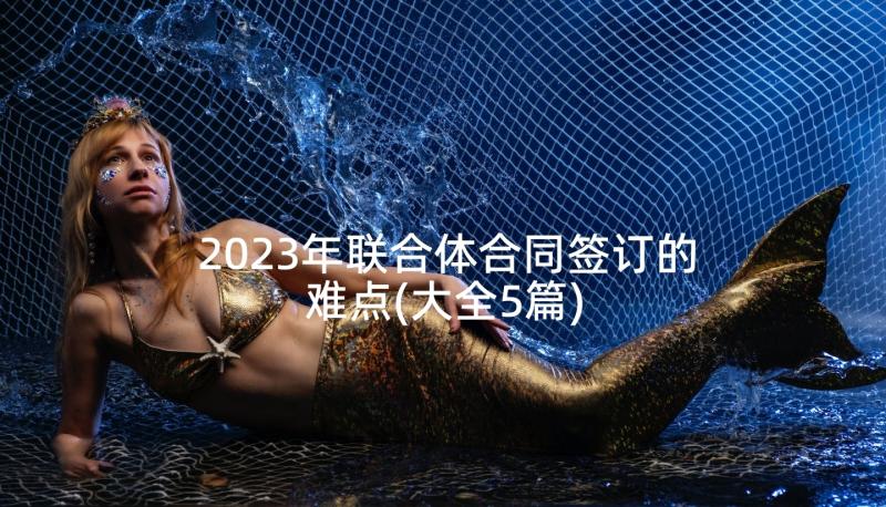 2023年联合体合同签订的难点(大全5篇)