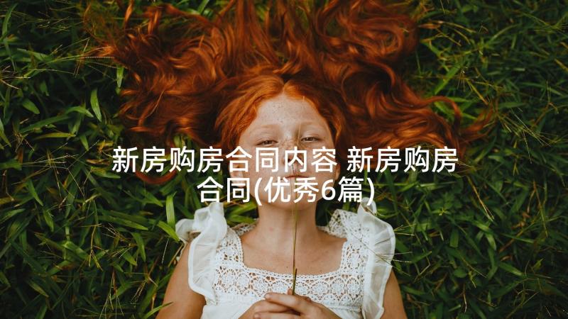 新房购房合同内容 新房购房合同(优秀6篇)