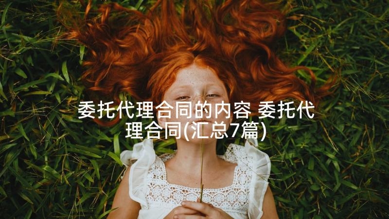 委托代理合同的内容 委托代理合同(汇总7篇)