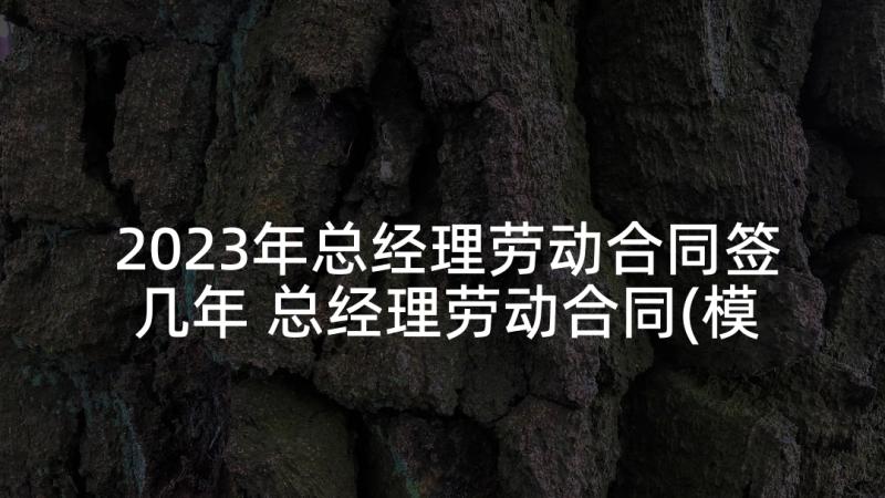 2023年总经理劳动合同签几年 总经理劳动合同(模板5篇)