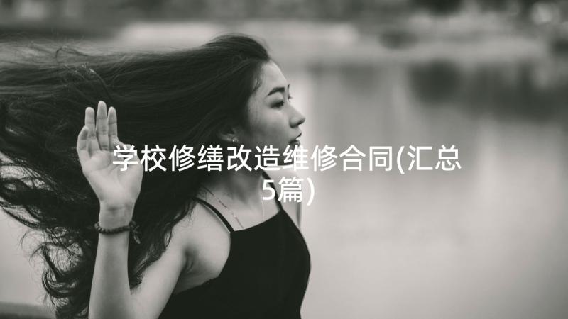 学校修缮改造维修合同(汇总5篇)