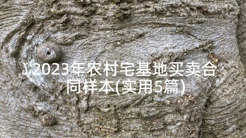 2023年农村宅基地买卖合同样本(实用5篇)