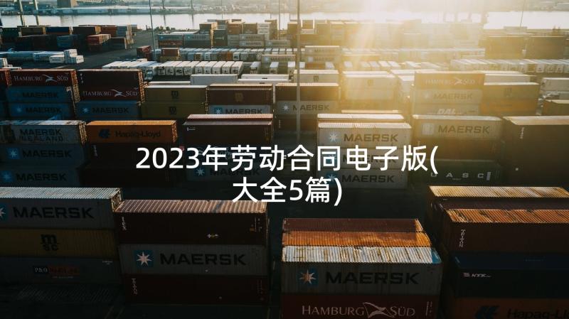 2023年劳动合同电子版(大全5篇)