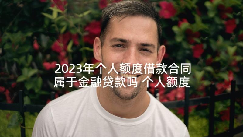 2023年个人额度借款合同属于金融贷款吗 个人额度借款合同格式(优质5篇)