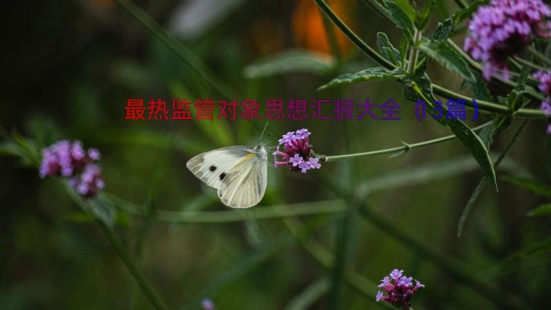 最热监管对象思想汇报大全（13篇）