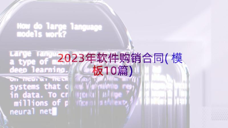 2023年软件购销合同(模板10篇)