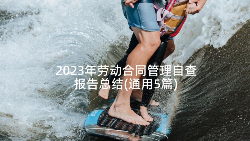 2023年劳动合同管理自查报告总结(通用5篇)