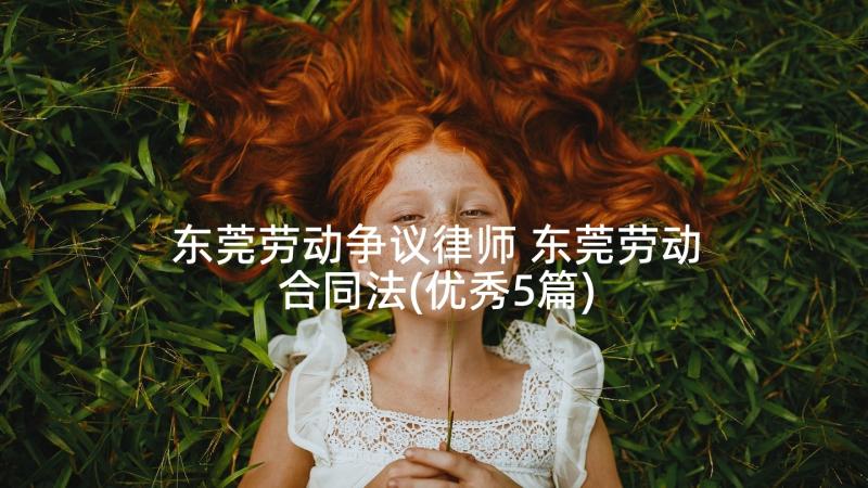 东莞劳动争议律师 东莞劳动合同法(优秀5篇)