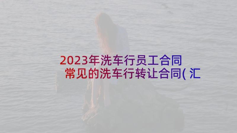 2023年洗车行员工合同 常见的洗车行转让合同(汇总5篇)