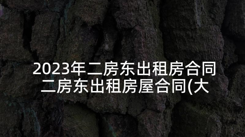 2023年二房东出租房合同 二房东出租房屋合同(大全5篇)