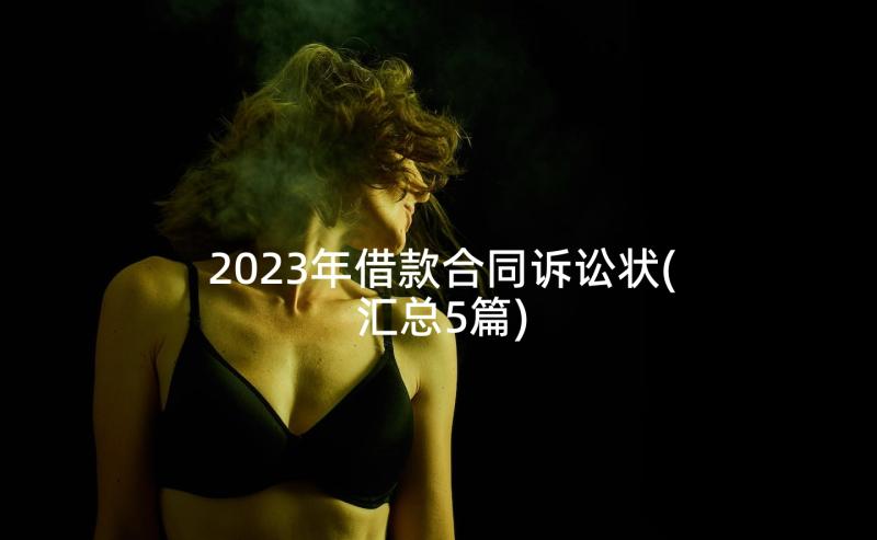 2023年借款合同诉讼状(汇总5篇)