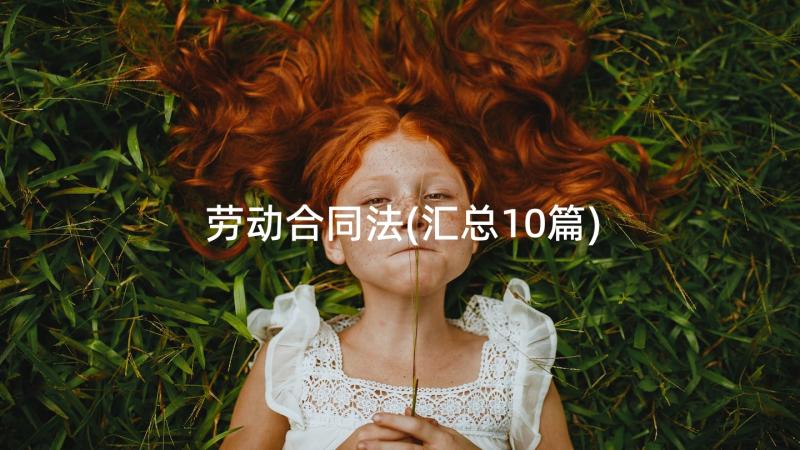 劳动合同法(汇总10篇)