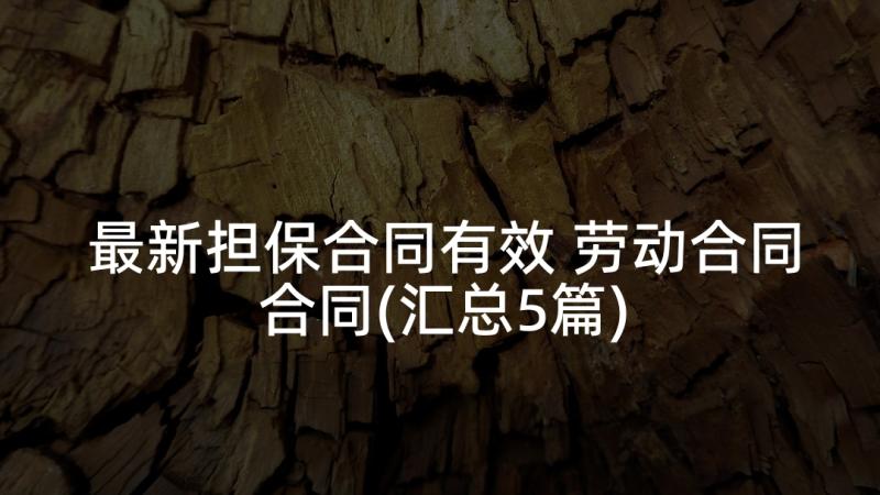 最新担保合同有效 劳动合同合同(汇总5篇)