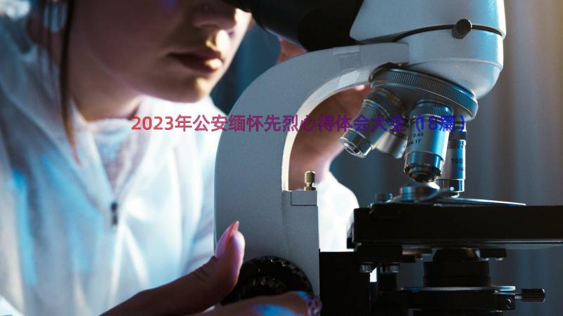 2023年公安缅怀先烈心得体会大全（18篇）