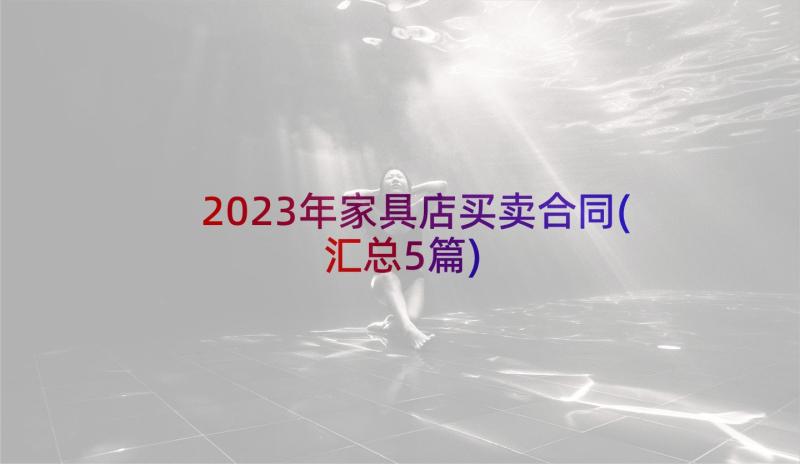 2023年家具店买卖合同(汇总5篇)