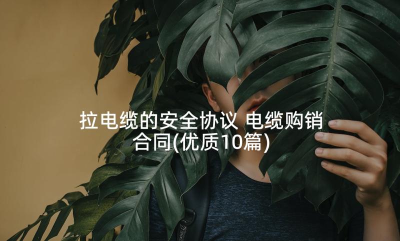 拉电缆的安全协议 电缆购销合同(优质10篇)