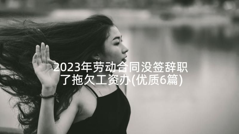 2023年劳动合同没签辞职了拖欠工资办(优质6篇)