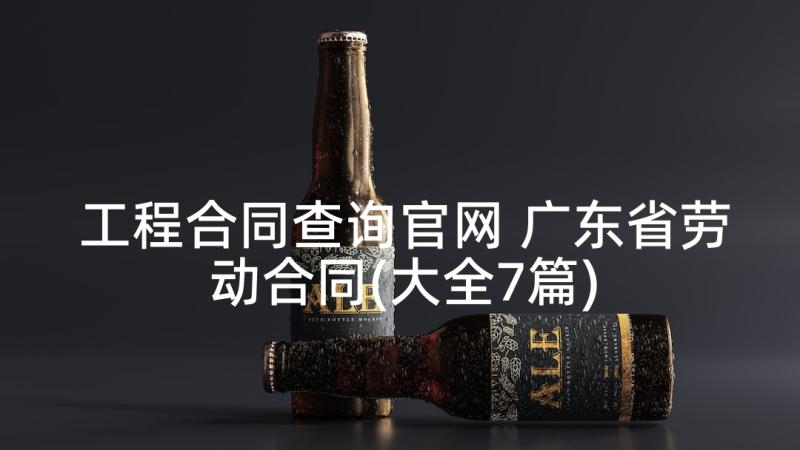 工程合同查询官网 广东省劳动合同(大全7篇)