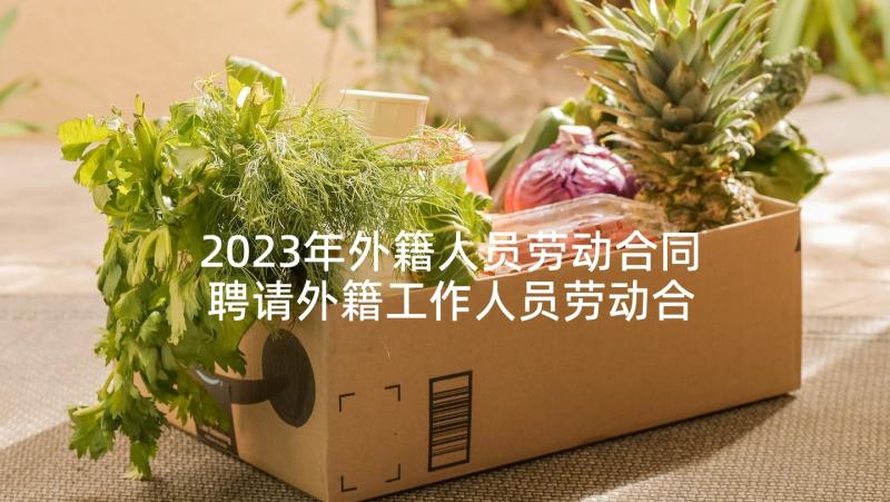 2023年外籍人员劳动合同 聘请外籍工作人员劳动合同(精选5篇)