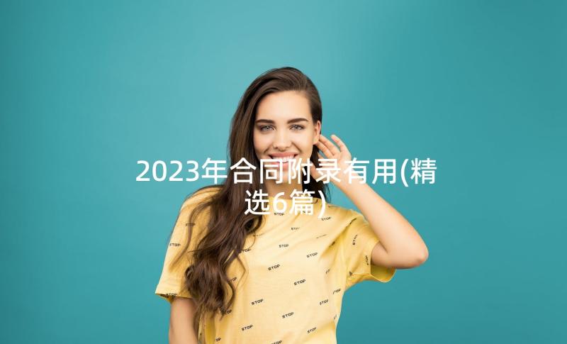 2023年合同附录有用(精选6篇)