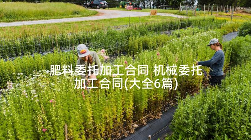 肥料委托加工合同 机械委托加工合同(大全6篇)