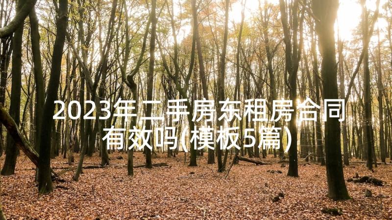 2023年二手房东租房合同有效吗(模板5篇)