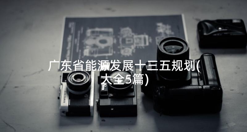 广东省能源发展十三五规划(大全5篇)