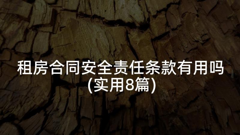 租房合同安全责任条款有用吗(实用8篇)