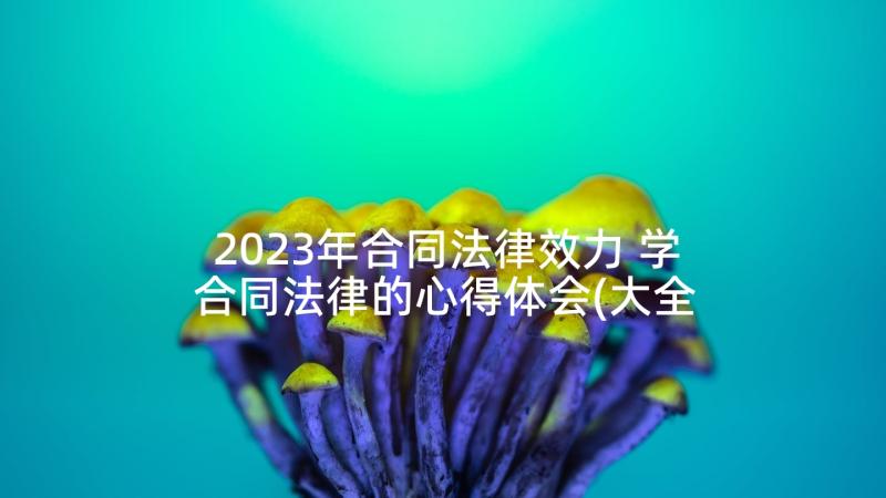2023年合同法律效力 学合同法律的心得体会(大全10篇)