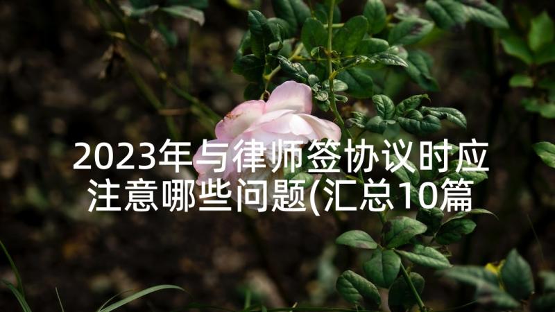 2023年与律师签协议时应注意哪些问题(汇总10篇)