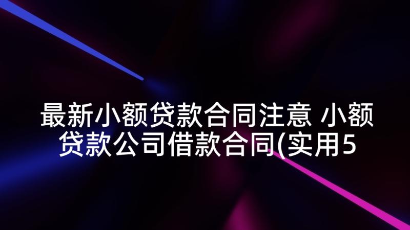 最新小额贷款合同注意 小额贷款公司借款合同(实用5篇)