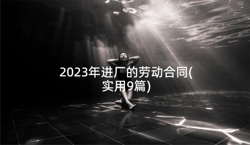 2023年进厂的劳动合同(实用9篇)