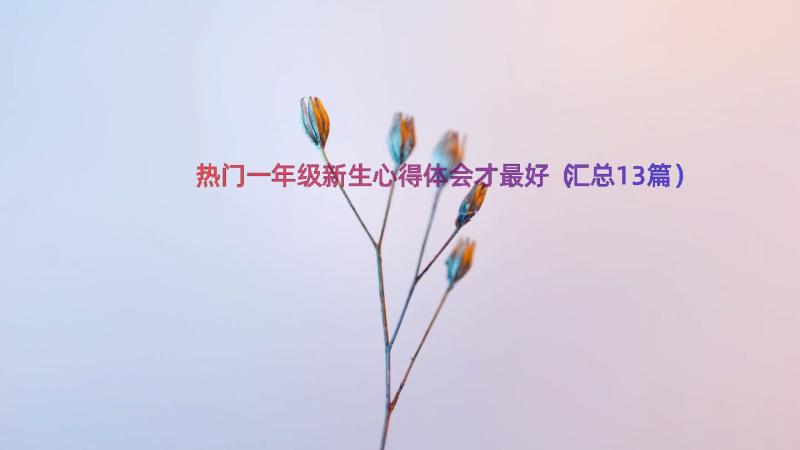 热门一年级新生心得体会才最好（汇总13篇）