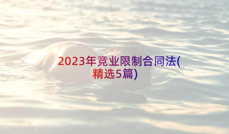 2023年竞业限制合同法(精选5篇)