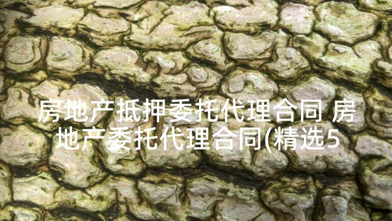 房地产抵押委托代理合同 房地产委托代理合同(精选5篇)