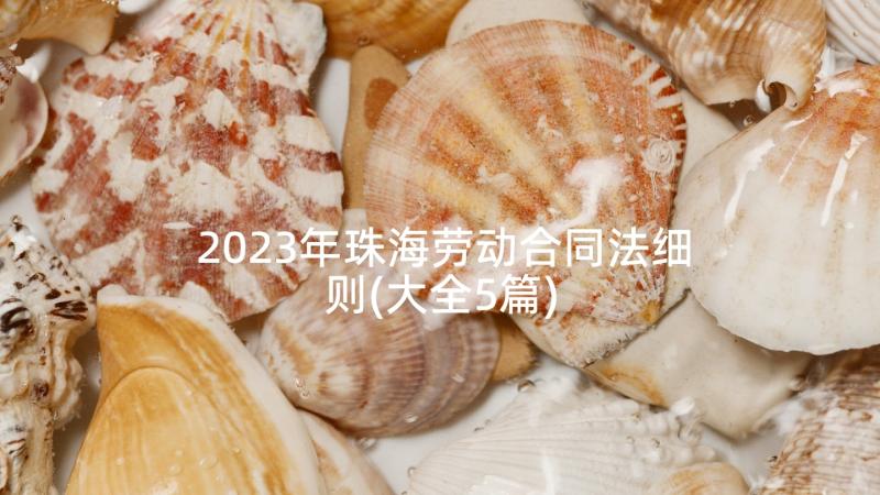 2023年珠海劳动合同法细则(大全5篇)