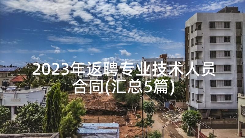 2023年返聘专业技术人员合同(汇总5篇)