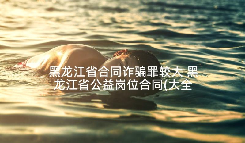 黑龙江省合同诈骗罪较大 黑龙江省公益岗位合同(大全5篇)