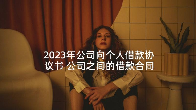 2023年公司向个人借款协议书 公司之间的借款合同(汇总6篇)