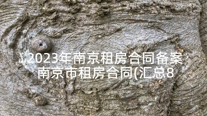 2023年南京租房合同备案 南京市租房合同(汇总8篇)