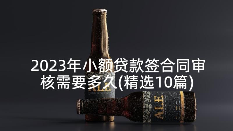 2023年小额贷款签合同审核需要多久(精选10篇)