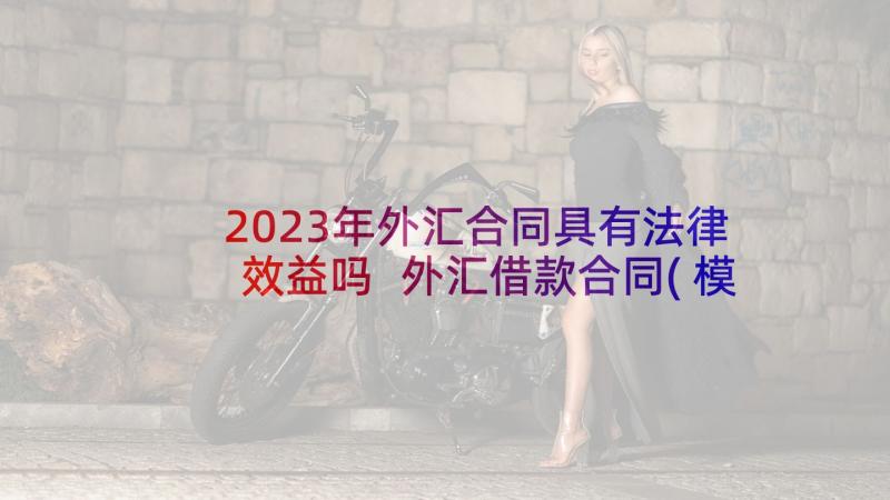 2023年外汇合同具有法律效益吗 外汇借款合同(模板9篇)