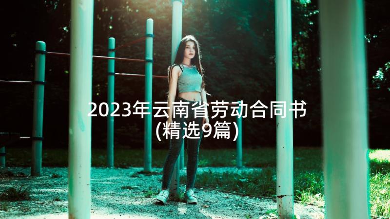 2023年云南省劳动合同书(精选9篇)