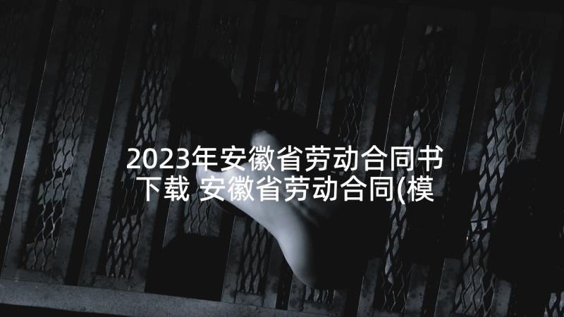 2023年安徽省劳动合同书下载 安徽省劳动合同(模板9篇)