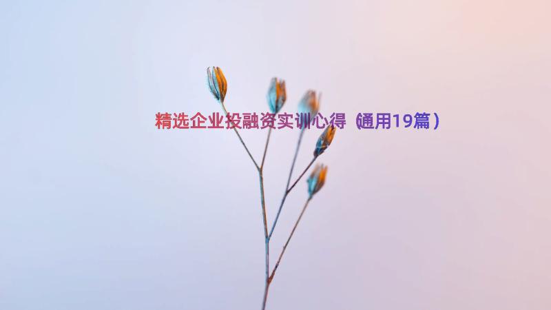 精选企业投融资实训心得（通用19篇）